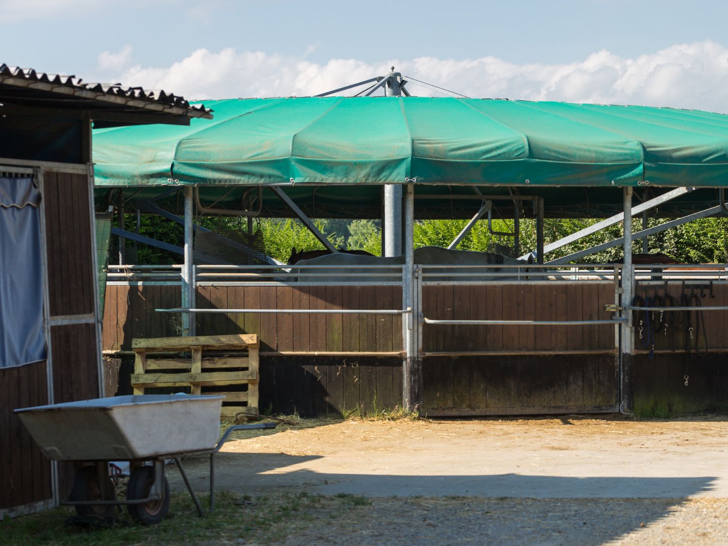 Pferd Einstellplatz - Schrittmaschine-Reitanlage Gössendorf